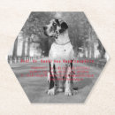 Suche nach fotograf untersetzer Hund