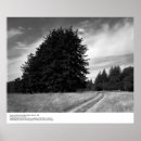 Suche nach ansel adams poster Landschaft