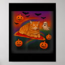 Suche nach space cat poster Raum