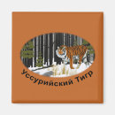 Suche nach tiger magnete Natur
