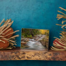 Suche nach laub fotoplatten Blatt