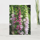 Suche nach empfindlich karten Hübsch