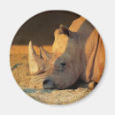 Suche nach nashörner magnete Zoo