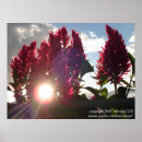 Suche nach in flammen poster Rot