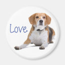 Suche nach beagle magnete Welpe