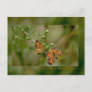 Suche nach mit flügeln postkarten Schrift