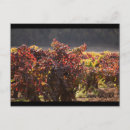 Suche nach sonoma postkarten Tal