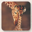 Suche nach tierkopf untersetzer Wild lebende tiere