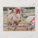 Suche nach rosa schwein postkarten Schweine
