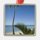Suche nach kokosnuss ornamente Meer