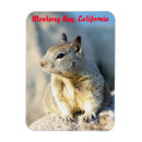 Suche nach monterey magnete California