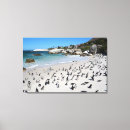 Suche nach südafrika leinwandbilder Küste