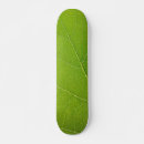 Suche nach nature comp skaten Cool