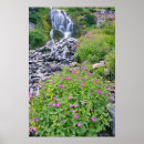 Suche nach crater lake poster Umwelt