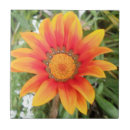 Suche nach einzeln fliesen Blume
