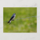Suche nach bunte bäume poster postkarten Vogelvogel
