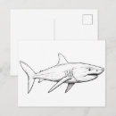 Suche nach haifisch postkarten Natur
