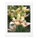 Suche nach natur fotodruck Botanisch