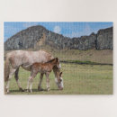 Suche nach fohlen puzzle Herde