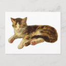 Suche nach viktorianische illustration postkarten Katze