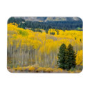 Suche nach colorado karten Herbst