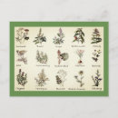 Suche nach kräuter postkarten Für sie