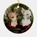 Suche nach chihuahua keramik ornamente Weiß