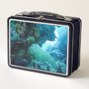 Suche nach meer brotdosen Unterwasser