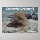 Suche nach california dreaming poster Ozean