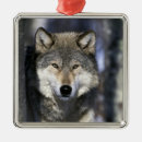 Suche nach jäger ornamente Im freien