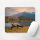 Suche nach kanada mousepads Berge