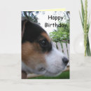 Suche nach alles gute zum für hunde geburtstag karten Glücklich