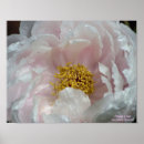 Suche nach macro poster Natur