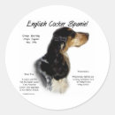 Suche nach englisch aufkleber Englische cocker spaniel