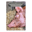 Suche nach schweine klemmbrett Bauernhof