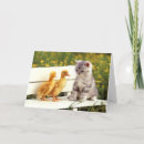 Suche nach hässlich karten Katze