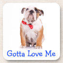 Suche nach bulldoggen untersetzer Englische bulldogge