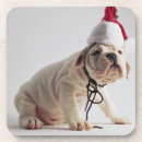 Suche nach niedliche welpen untersetzer Weihnachten