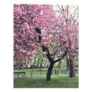 Suche nach rosa kirschblüten poster Bäume