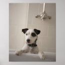 Suche nach badezimmer poster Zuhause
