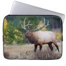 Suche nach mountain laptop schutzhüllen Felsiger berg nationalpark