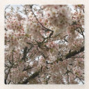 Suche nach kirschbaum untersetzer Blume