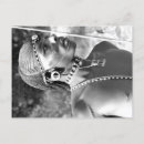 Suche nach afrika vintage postkarten Kenya