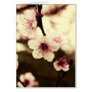 Suche nach nostalgiker postkarten Erinnerungen