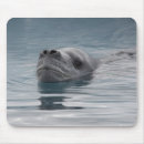 Suche nach entschlossenheit mousepads Natur