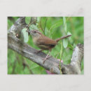 Suche nach früchte postkarten Vögel