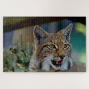 Suche nach luchs puzzle Tierwelt