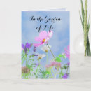 Suche nach glückwünsche auf ihrer scheidung karten Scheidungsglückwünsche