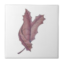 Suche nach ahornblätter fliesen Natur