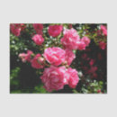 Suche nach rosenpapier Blume